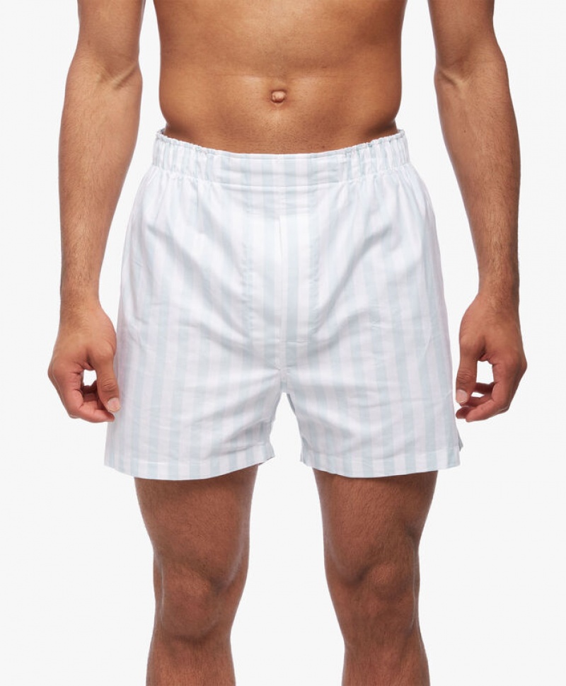 White Brooks Brothers Cotton Oxford Stripe Men Underwear | DUJ-250916